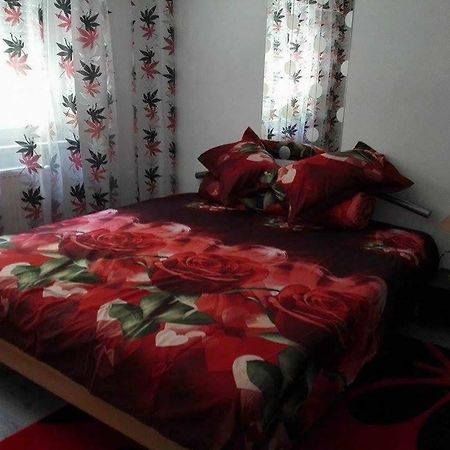 Apartament Ela Elegance Apartment Orşova Екстериор снимка