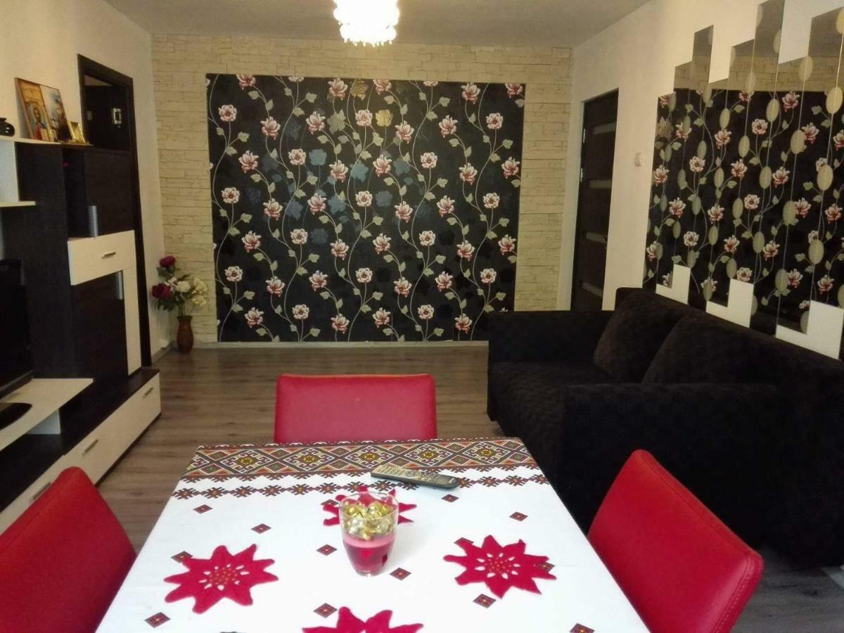 Apartament Ela Elegance Apartment Orşova Екстериор снимка