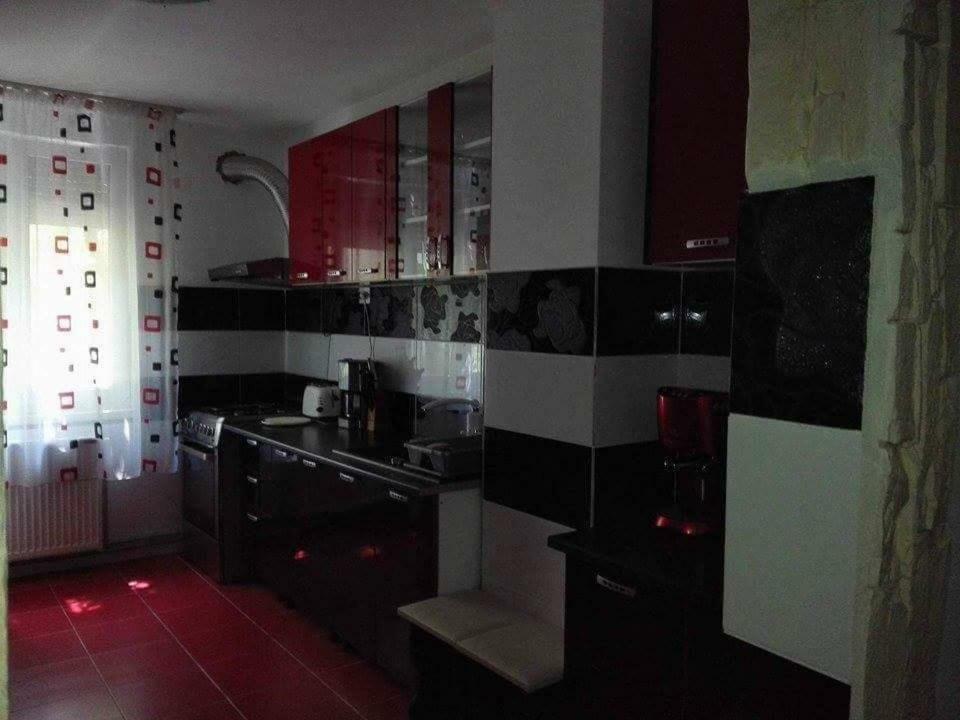 Apartament Ela Elegance Apartment Orşova Екстериор снимка