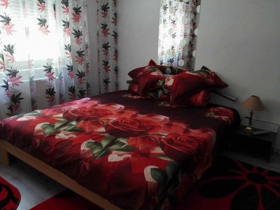 Apartament Ela Elegance Apartment Orşova Екстериор снимка