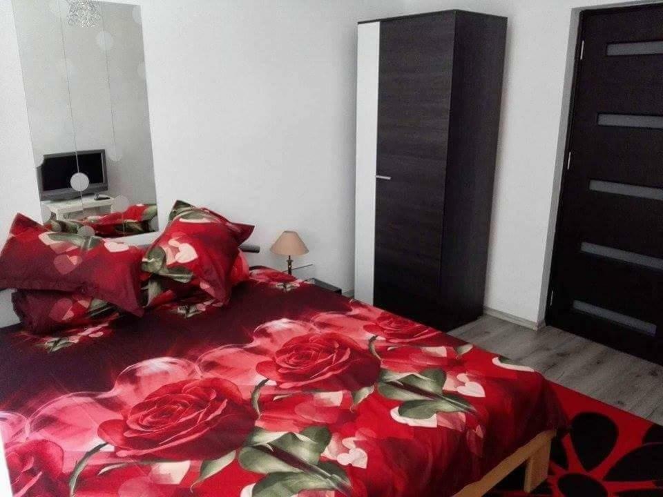 Apartament Ela Elegance Apartment Orşova Екстериор снимка